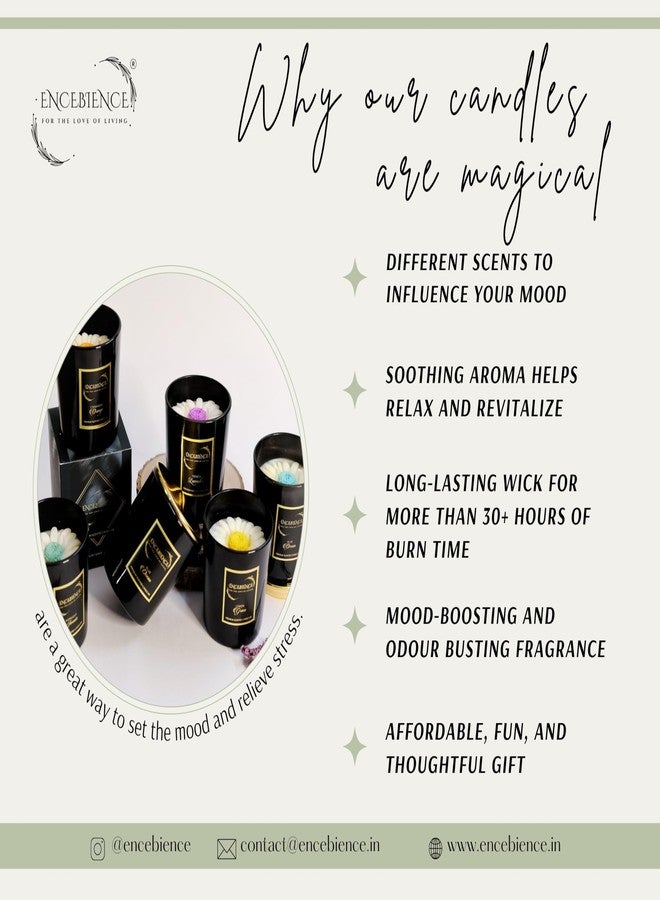 Encebience Premium Scented Tin Jar Candle | 100% Pure Plant-Based Soy Wax | Evening Whispers Aroma | 2-Wick Matte Black Jar Home Décor & Aromatherapy Candle - 170 gm | Up to 30Hrs Burn Time - Image 5